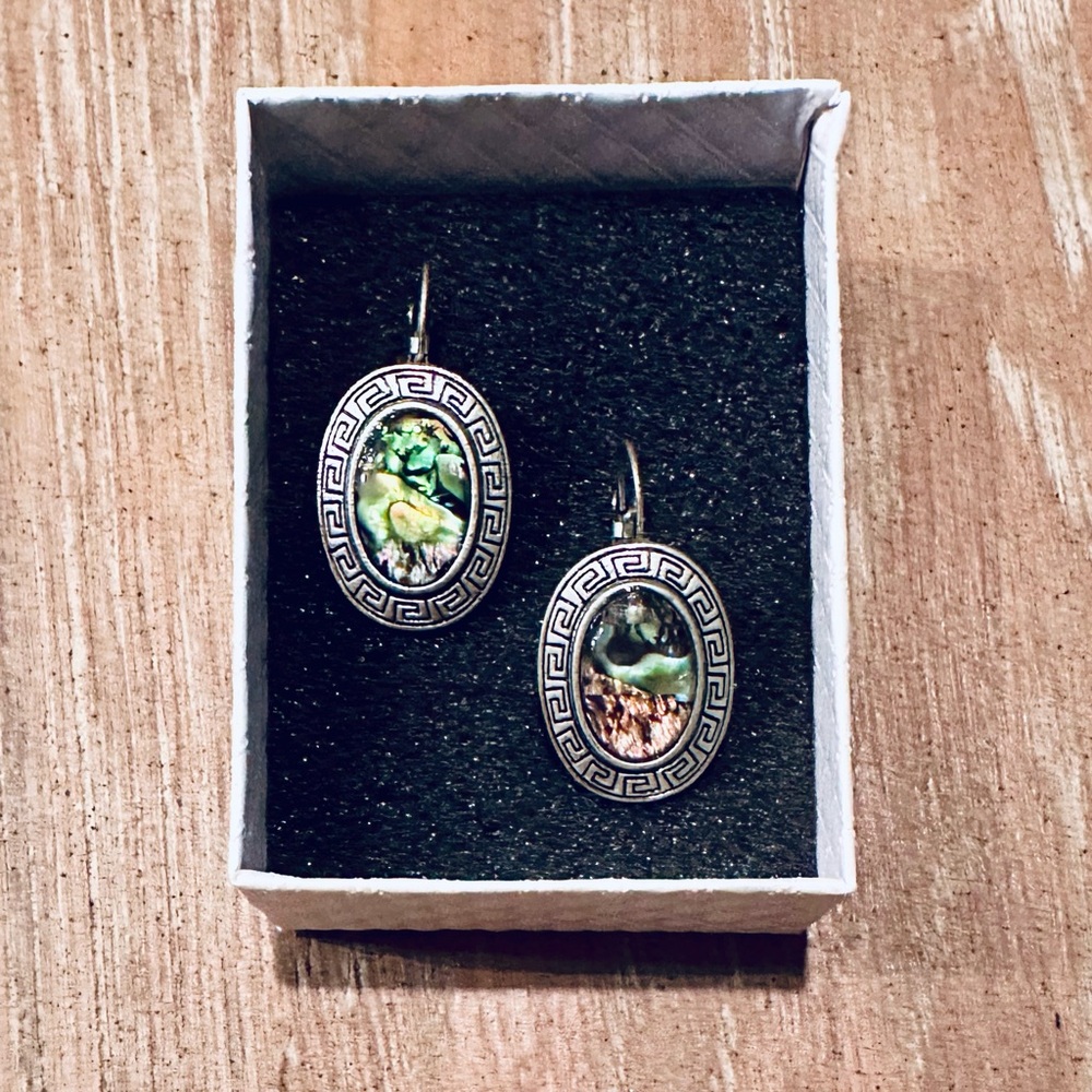 Delicate Iridescent Abalone Shell Pierced Ear Ear… - image 1